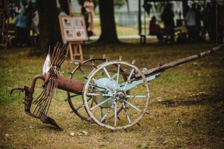 Dożynki 2025 fot. Daniel Franek